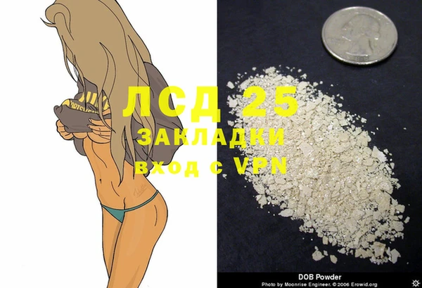 стаф Кулебаки