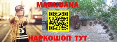 гидра Новозыбков