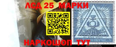 гидра Новозыбков