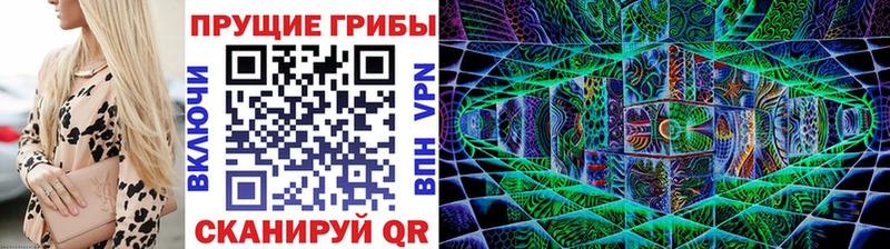 Галлюциногенные грибы Psilocybe  Мегион 