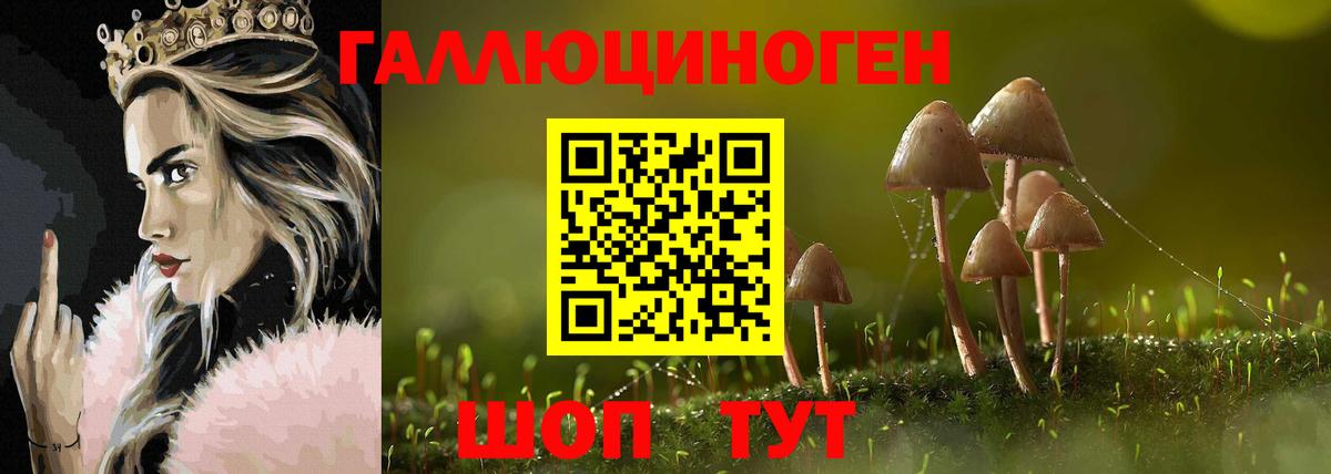 Псилоцибиновые грибы Psilocybine cubensis  купить  цена  Мегион  Вход с VPN 
